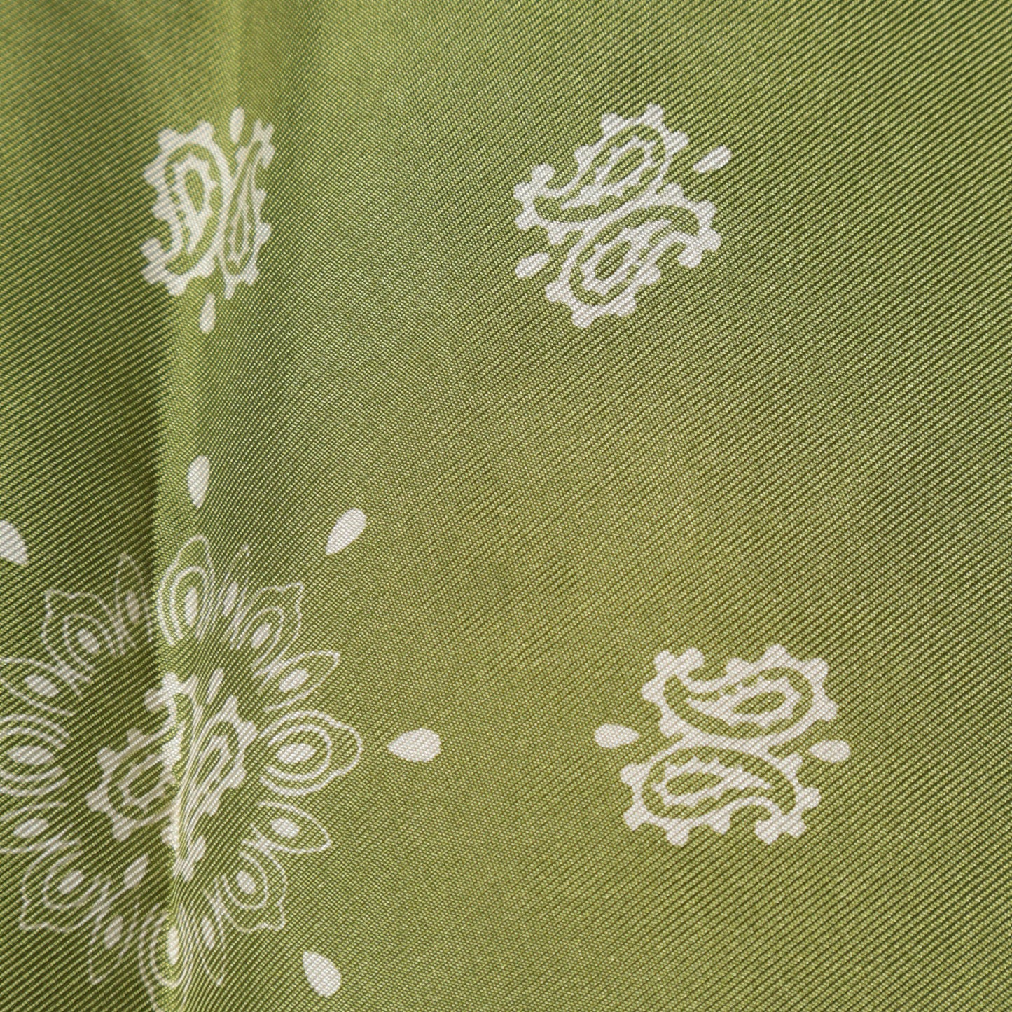 PAISLEY SCARF