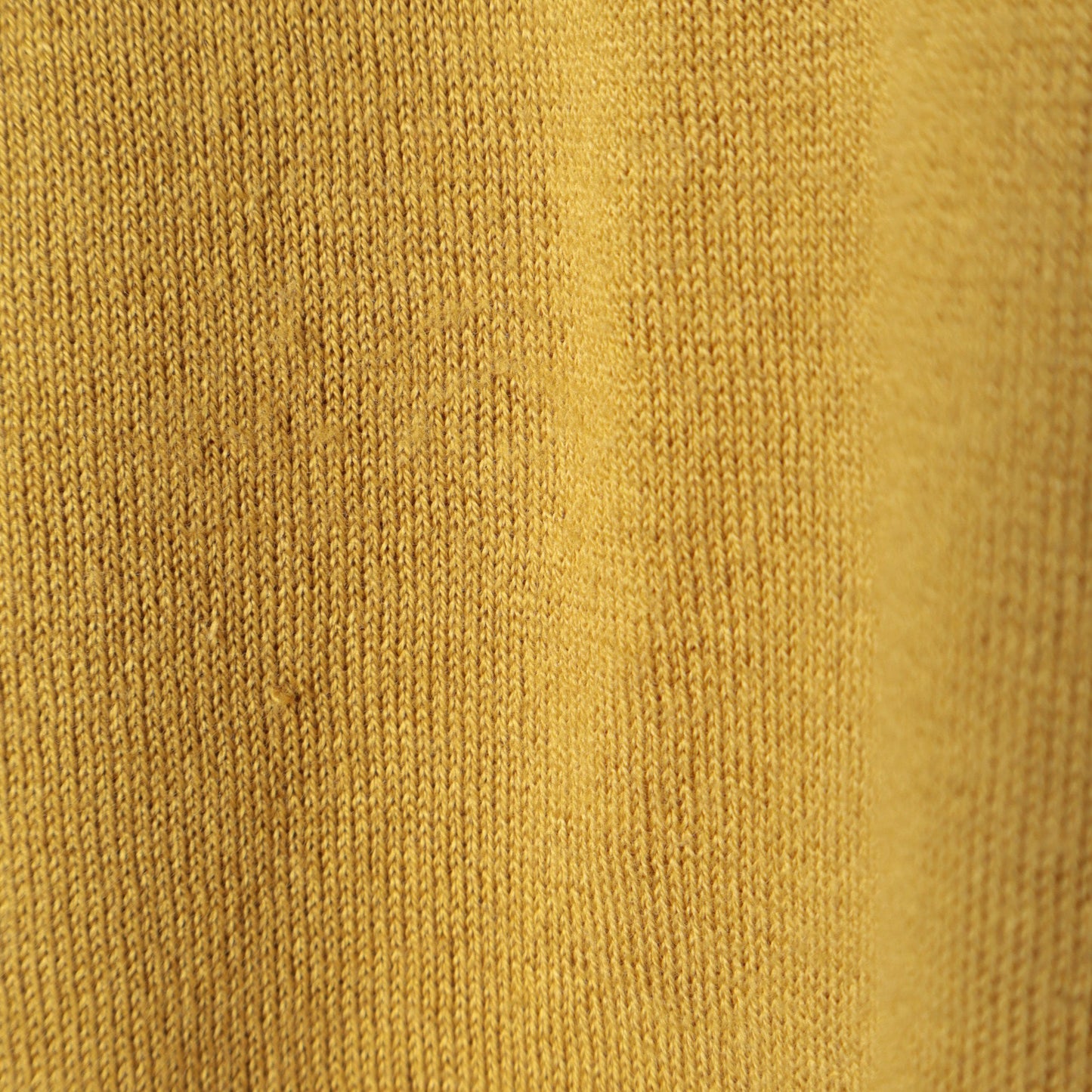 SEA ISLAND COTTON TURTLE NECK KNIT