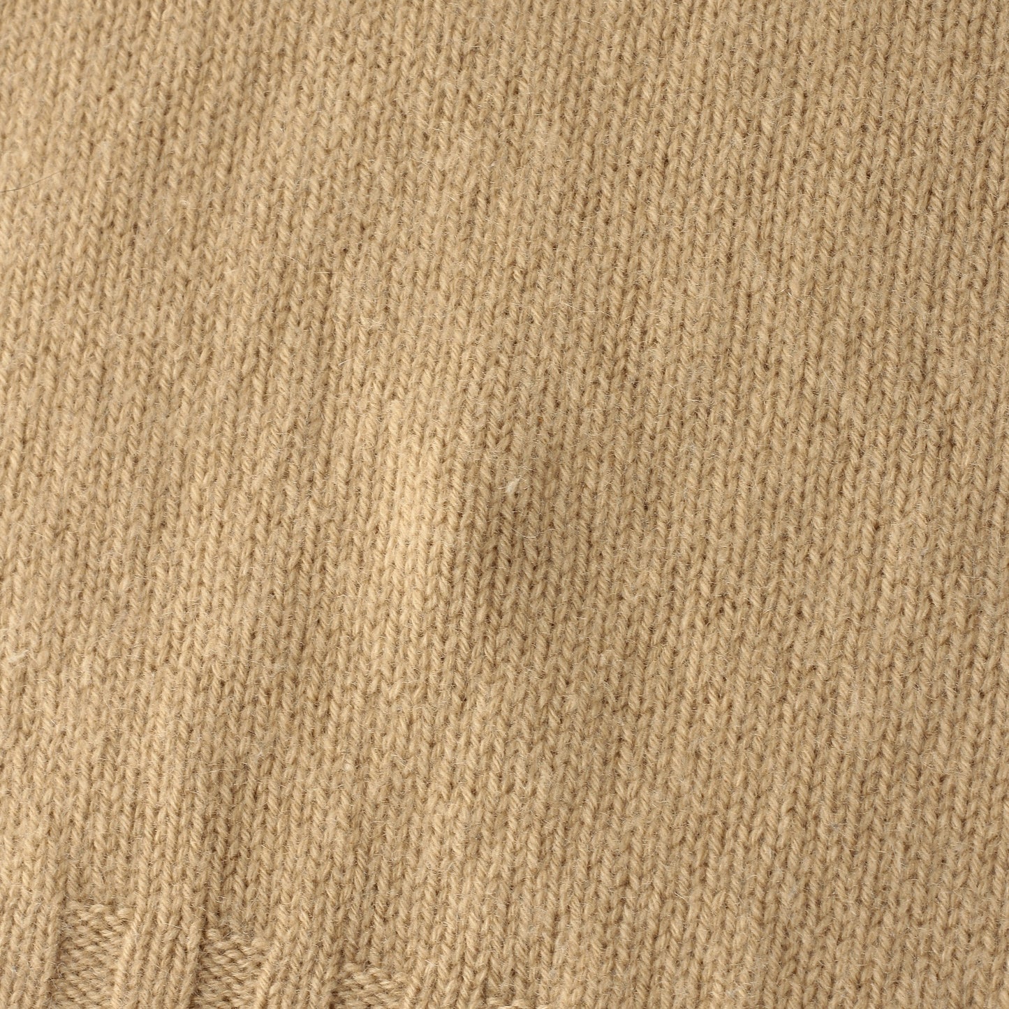 WIDE ROLL NECK KNIT