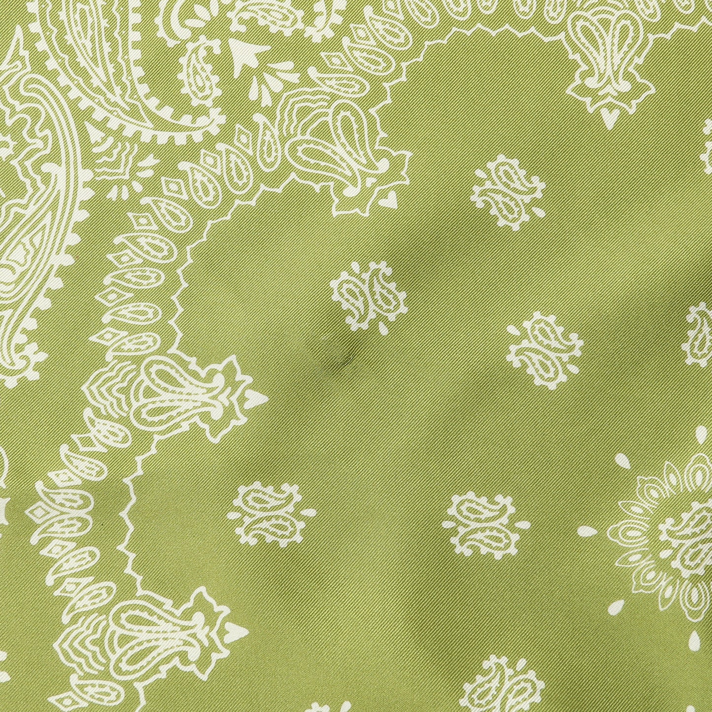 PAISLEY SILK SCARF