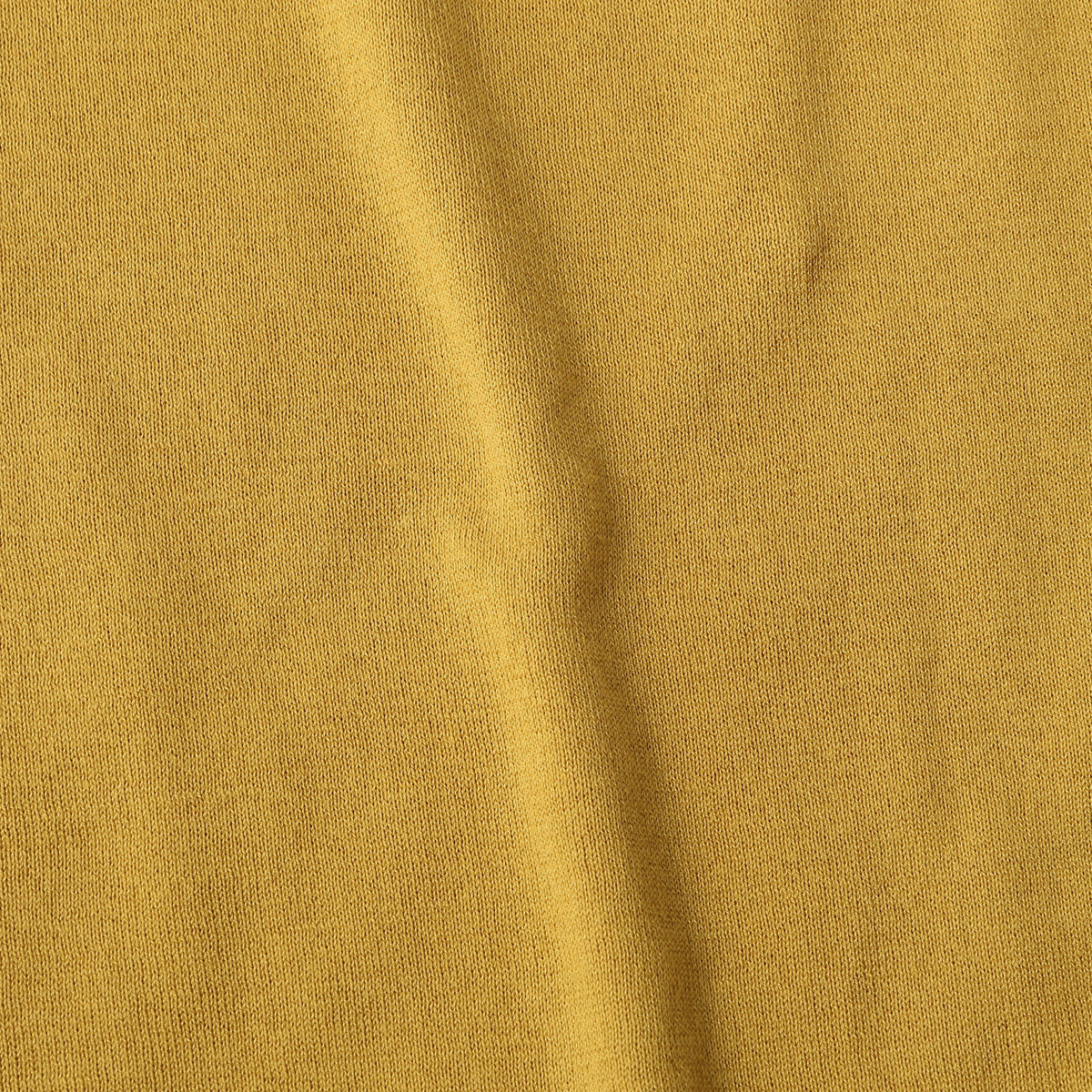 SEA ISLAND COTTON TURTLE NECK KNIT