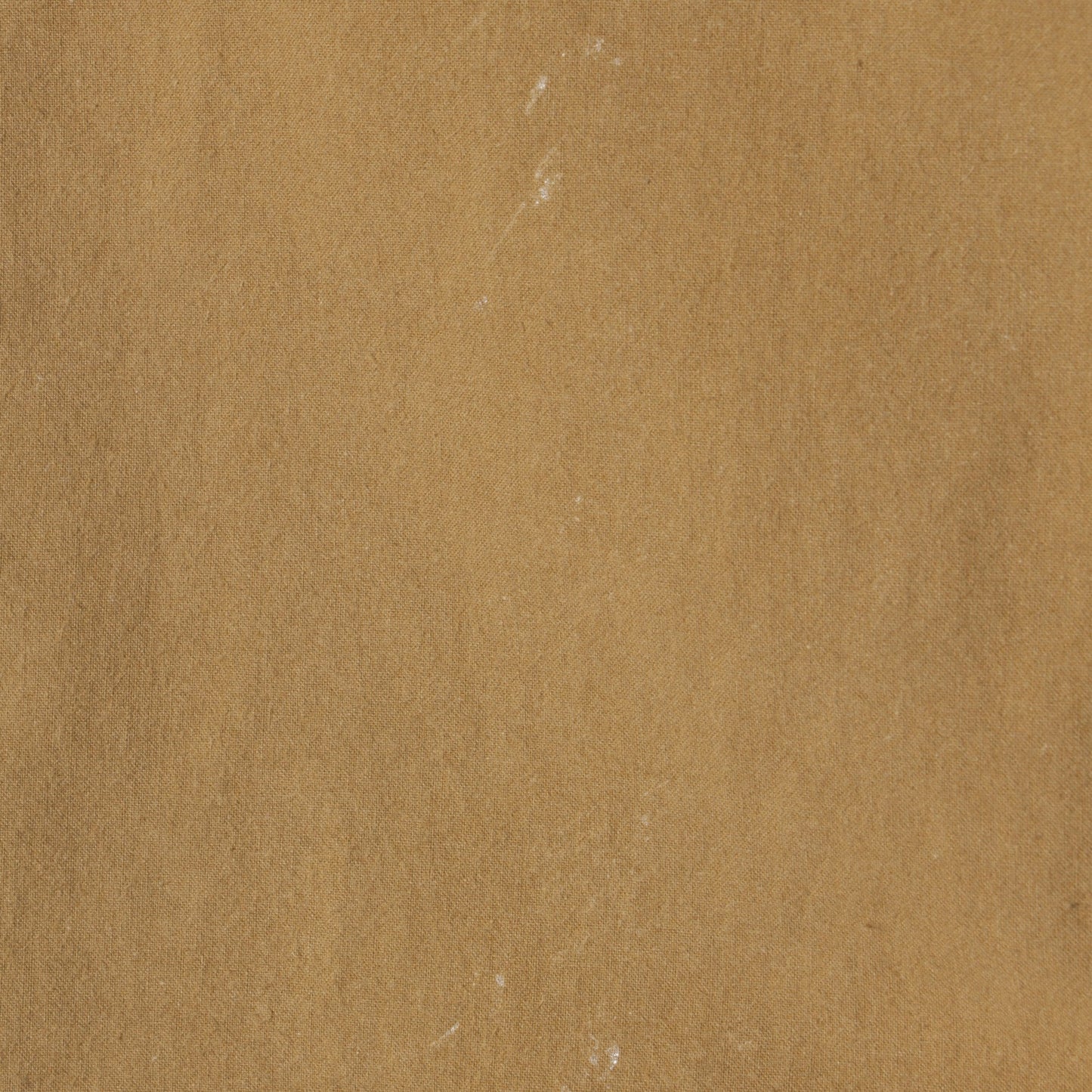 BRUSHED COTTON PLAINWEAVE SHIRT