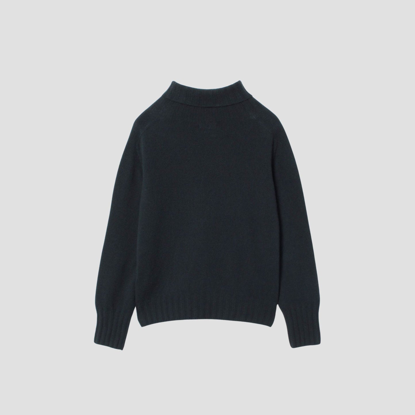 WIDE ROLL NECK KNIT