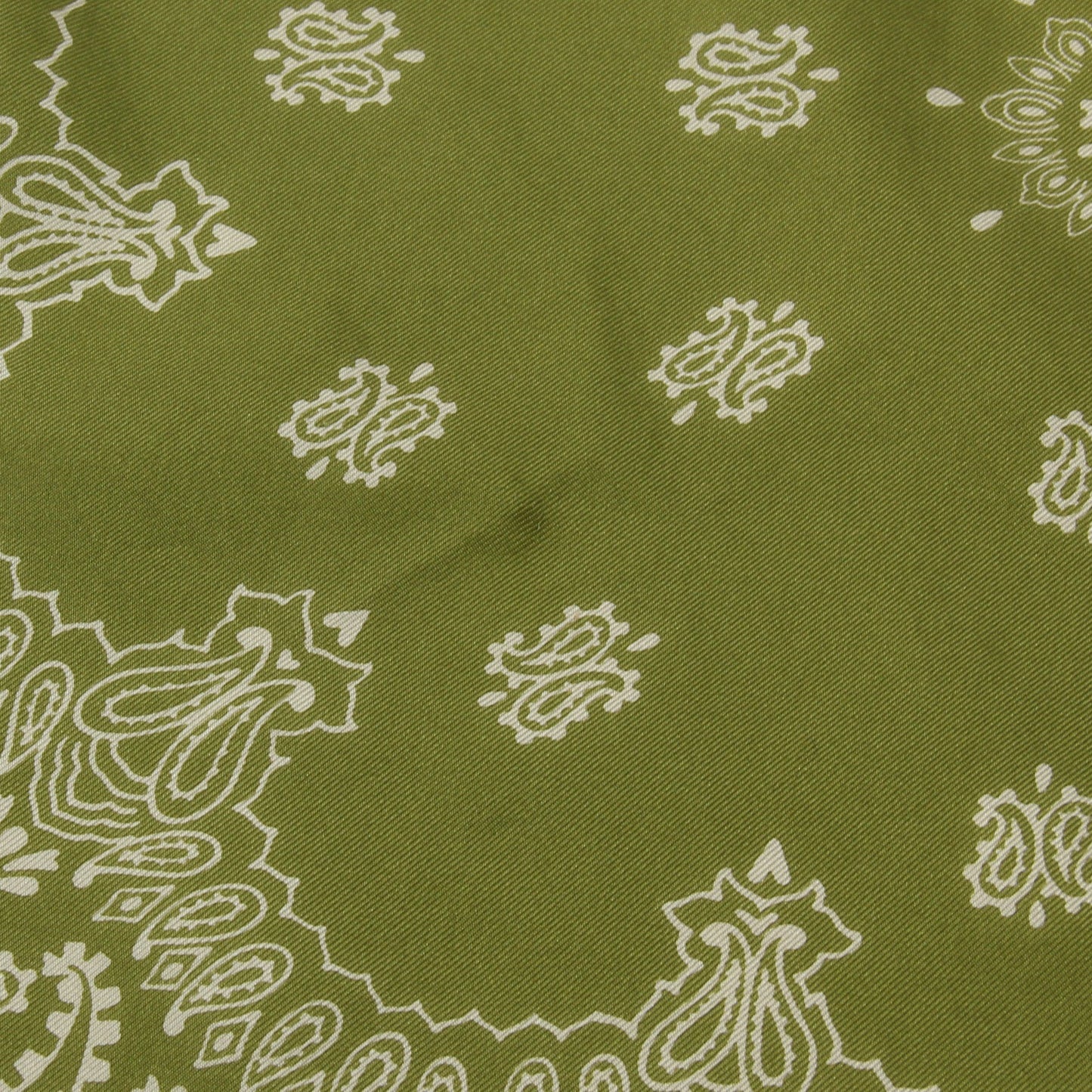 PAISLEY SCARF